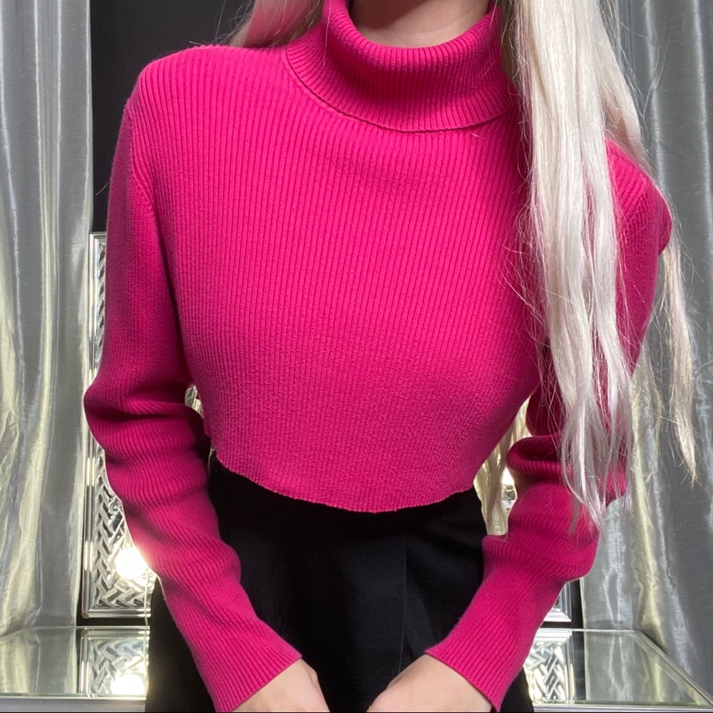 Long Sleeve Turtleneck Crop Top